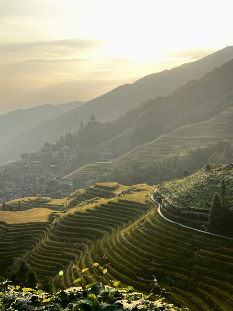 Longsheng Reisterrassen